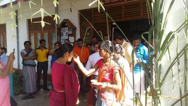 Thaipongal Festival 2019